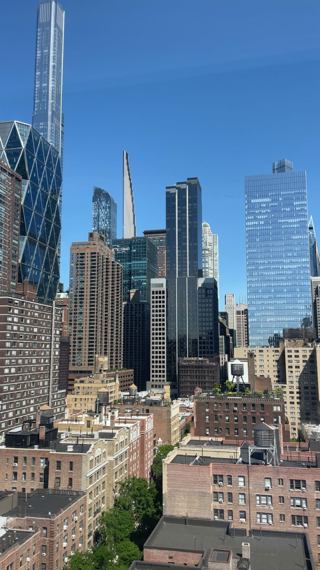 Everything I Ate in NYC